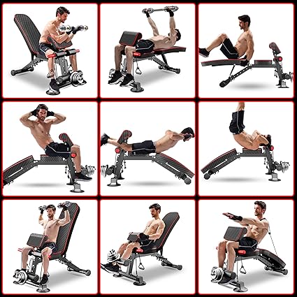 Workout Bench