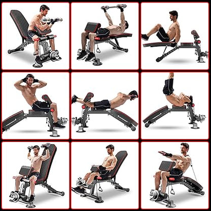 Workout Bench